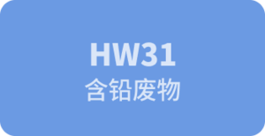 HW31